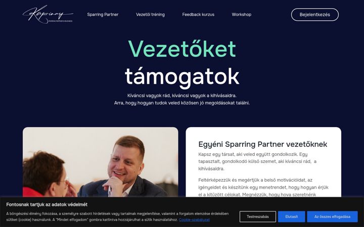 Screenshot of kaprinay.com