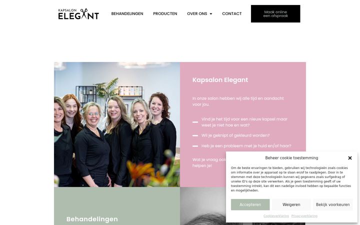 Screenshot of kapsalonelegant.nl