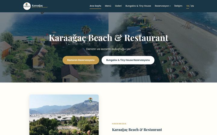 Screenshot of karaagactatil.com