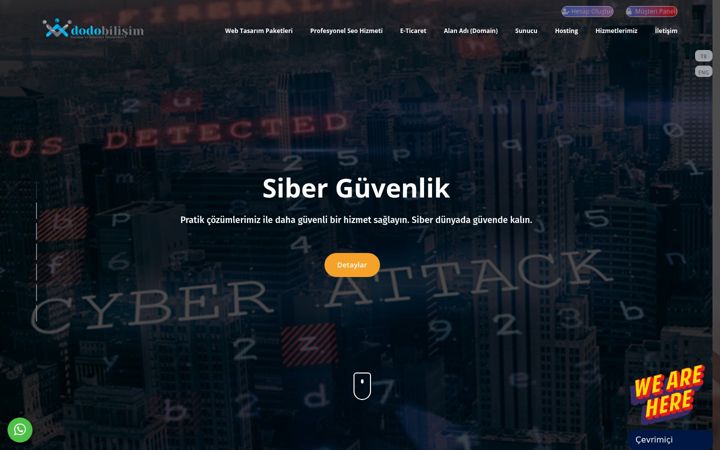 Screenshot of karadagwebtasarim.net