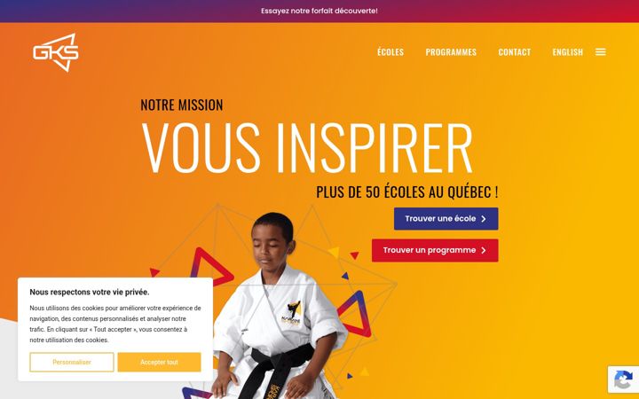 Screenshot of karatesportif.com