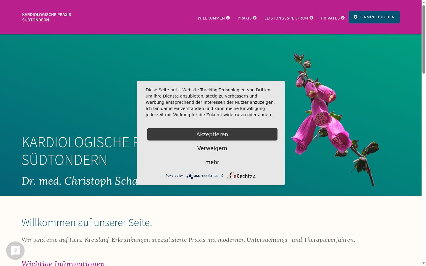 Screenshot of the consent banner shown before any interaction