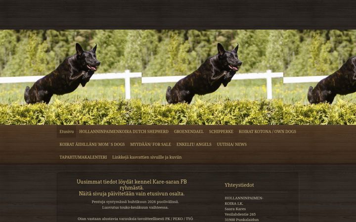 Screenshot of kare-saran.com
