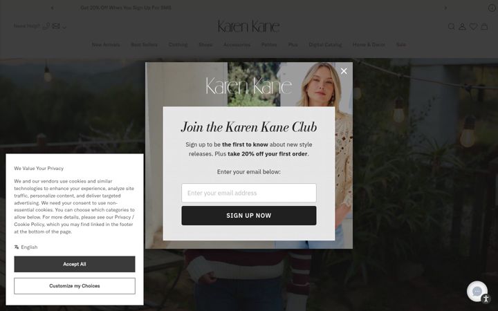 Screenshot of karenkane.com