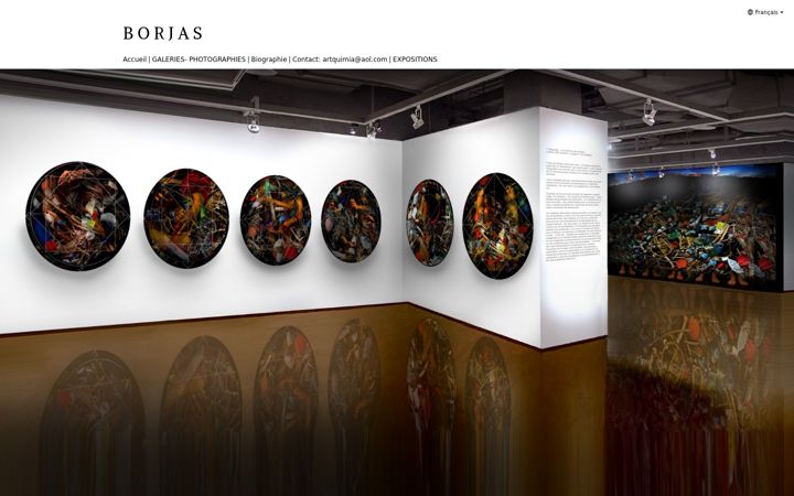 Screenshot of karimborjas.com