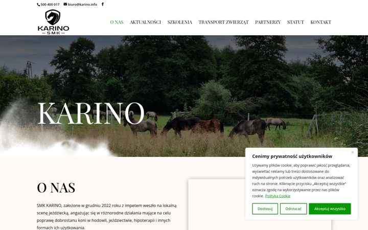 Screenshot of karino.info