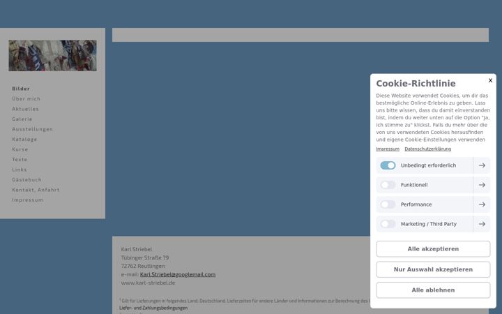 Screenshot of karl-striebel.de