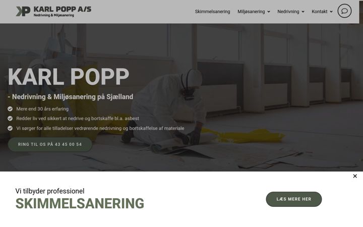 Screenshot of karlpopp.dk