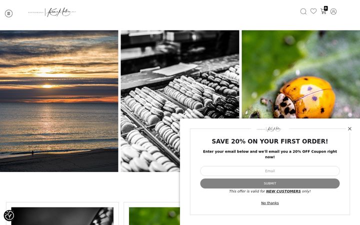 Screenshot of karmamelisaphotography.com