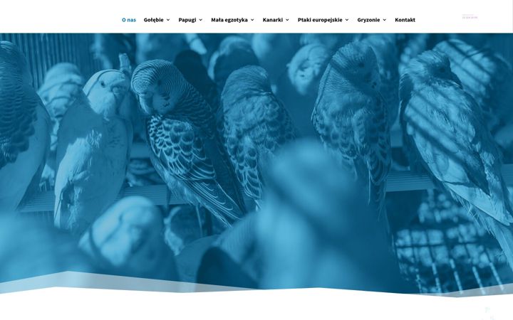 Screenshot of karmamix.pl