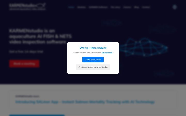 Képernyőkép: karmenstudio.ai