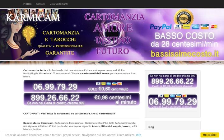 Screenshot of karmicam.com