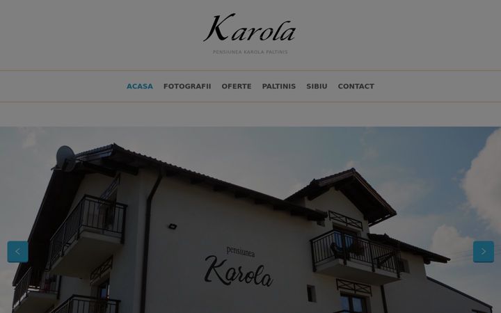Screenshot of karolapaltinis.ro