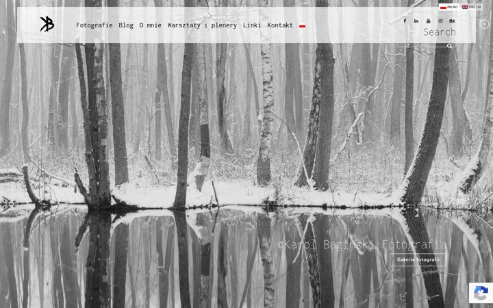 Screenshot of karolbaginski.com