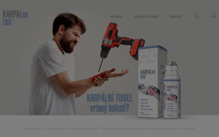 Screenshot of karpalex.cz