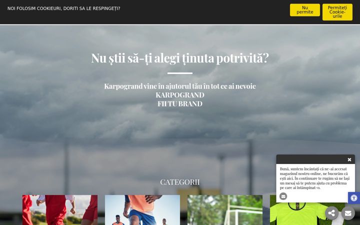 Screenshot of karpogrand.com