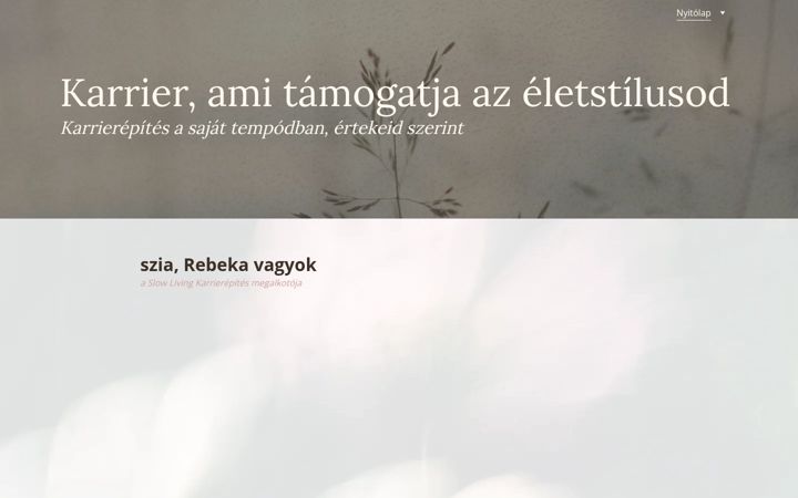 karriermentor.me
