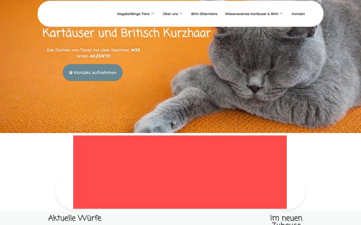 Screenshot ta' kartaeuser-bkh.de