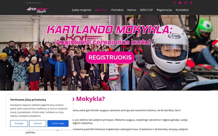 Screenshot of kartingu-mokykla.lt