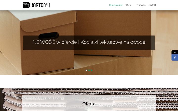 Screenshot of kartonykrakow.com