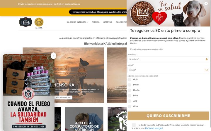 Screenshot of kasaludintegral.com