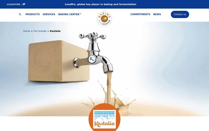 Screenshot of kastalia-lesaffre.com