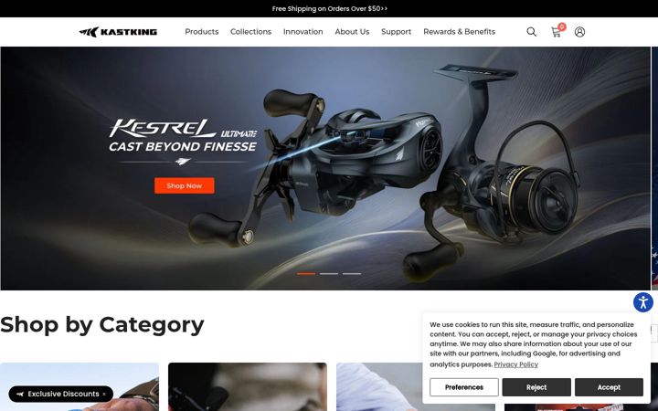 Screenshot of kastking.com