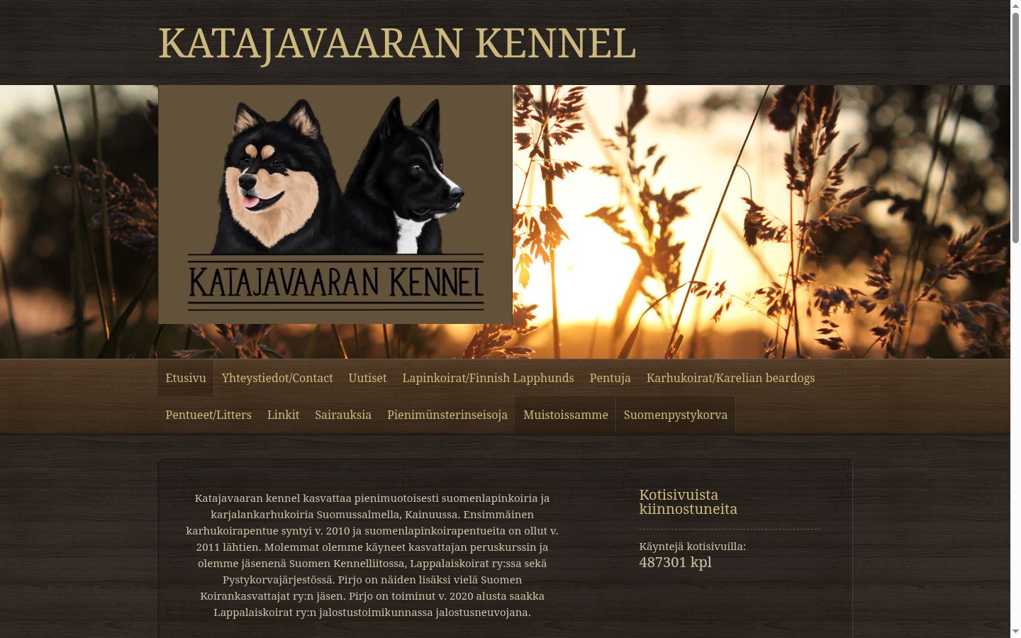 Kuvakaappaus suostumusbannerista, joka näytettiin ennen mitään vuorovaikutusta