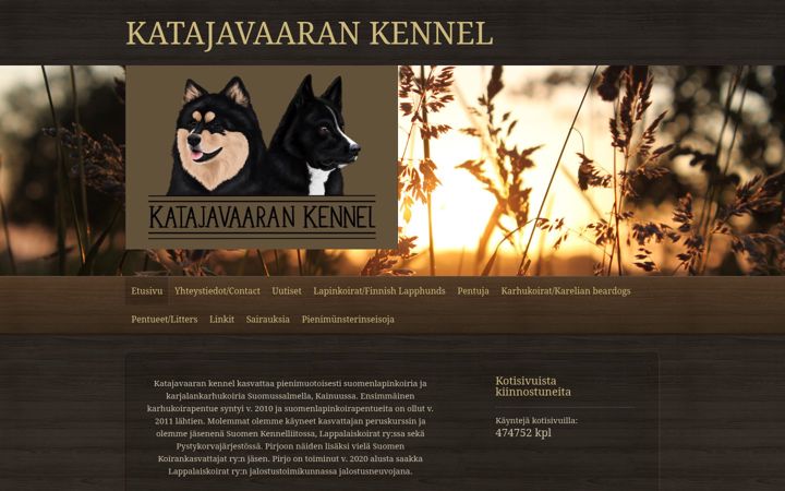 Screenshot of katajavaaran.net