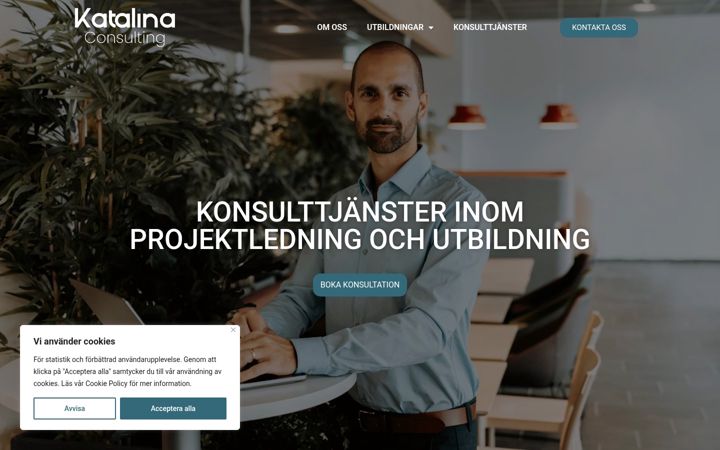 Screenshot of katalinaconsulting.com