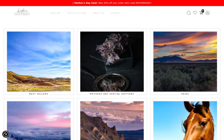Screenshot of katehauerfineart.com