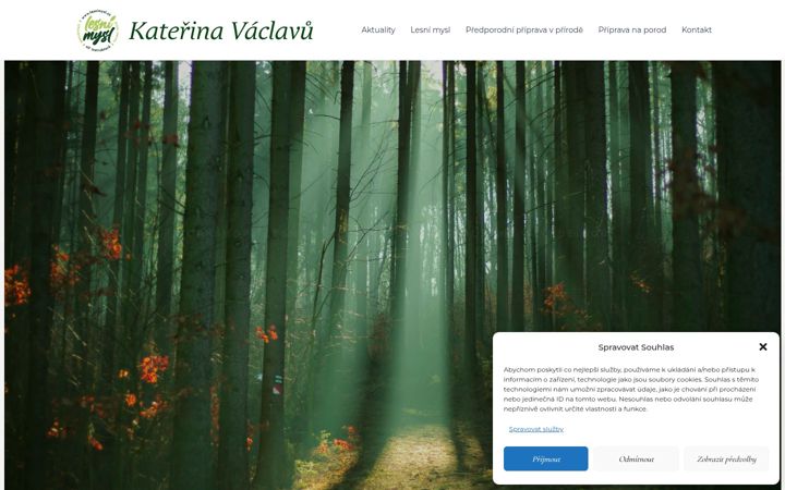 Screenshot of katerinavaclavu.cz