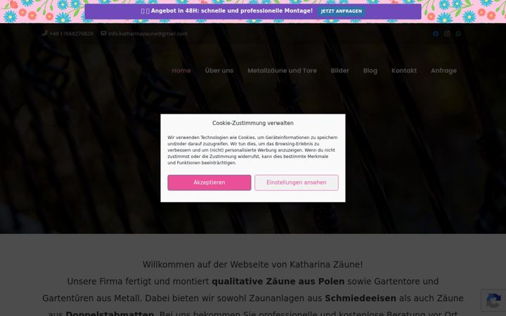 Screenshot of katharina-zaune.de
