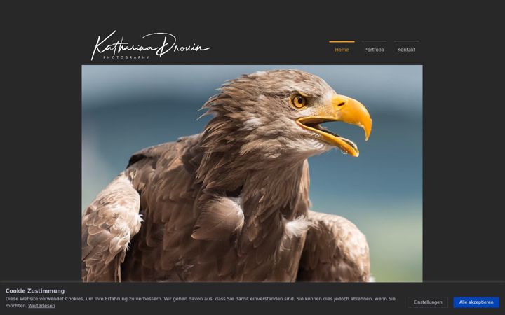 Screenshot of katharinadrouin.de