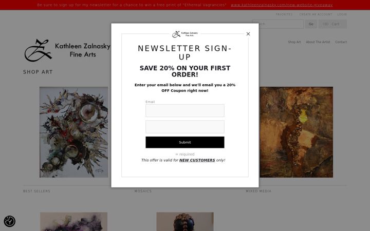 Screenshot of kathleenzalnasky.com