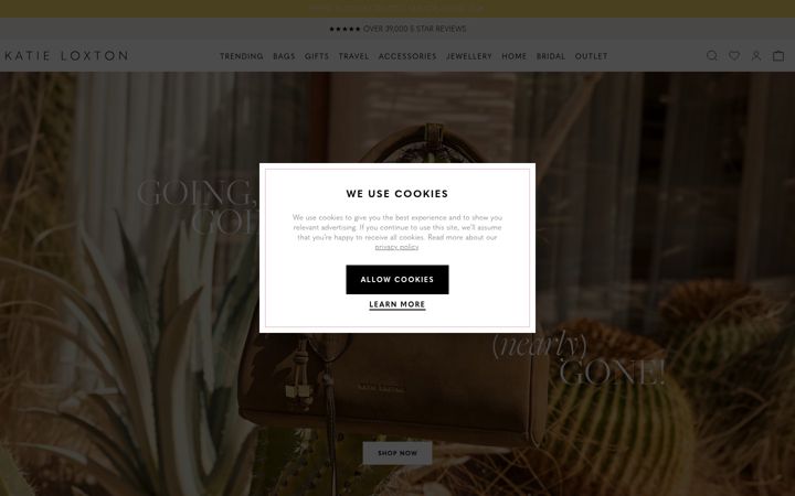Screenshot of katieloxton.com
