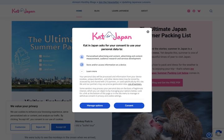 Screenshot of katinjapan.com