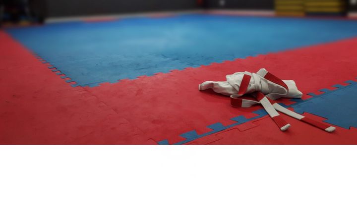 Screenshot of katokaratedojo.com.br