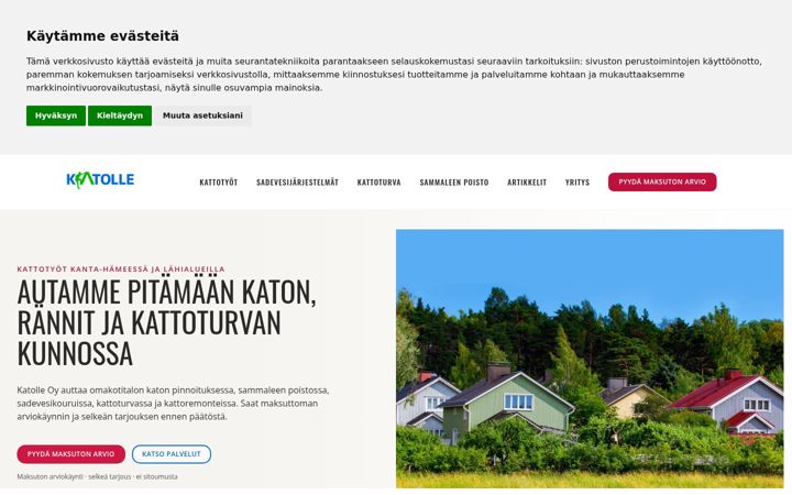 Screenshot of katonpinnoitus.com