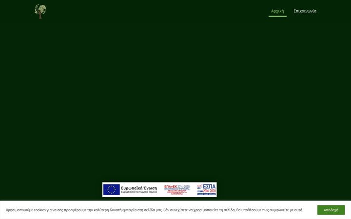 Screenshot of katsaounis-dasologos.gr