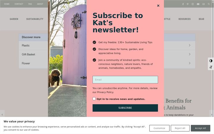 Screenshot of katstano.com