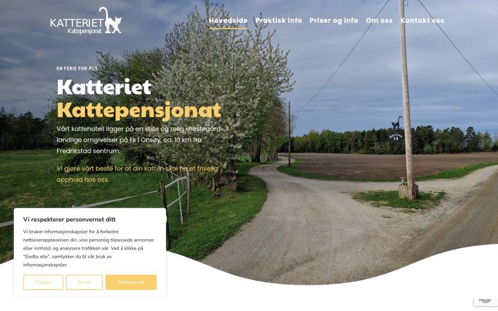 Screenshot of katteriet.no