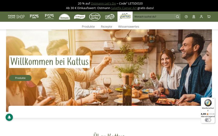 Screenshot of kattus.de