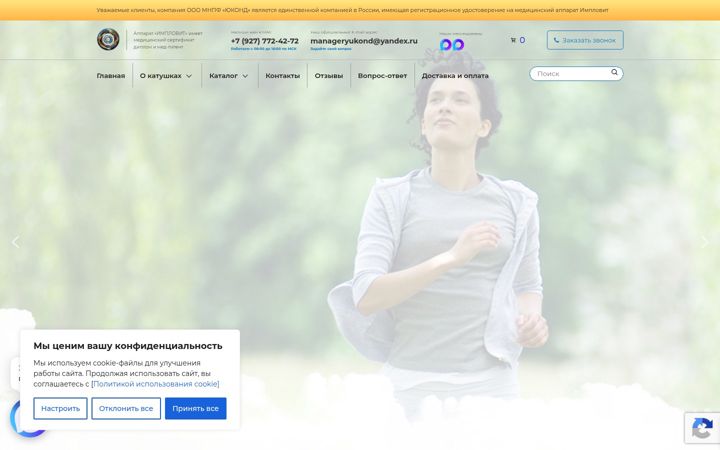 Screenshot of katushkimishina.com