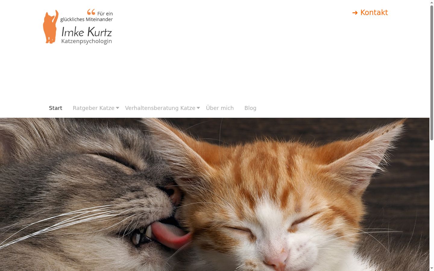 Screenshot van de toestemmingsbanner zoals getoond vóór enige interactie
