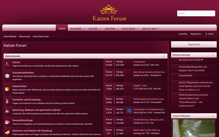 Screenshot of katzen-forum.de