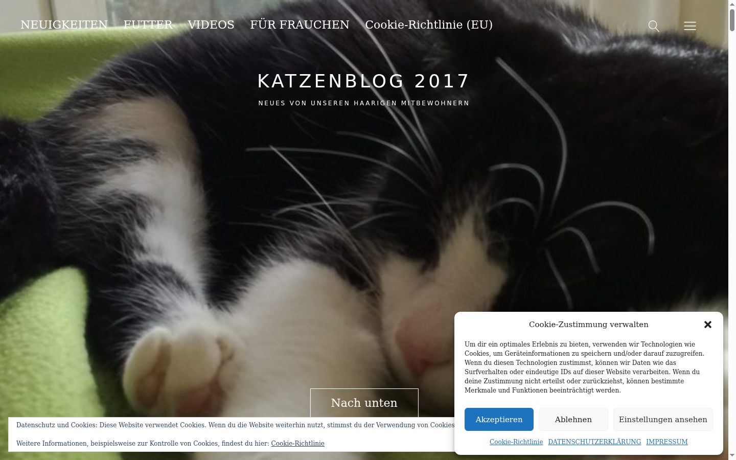 Screenshot του banner συγκατάθεσης που εμφανίστηκε πριν από οποιαδήποτε αλληλεπίδραση