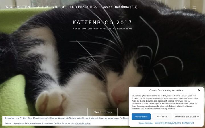 Screenshot of katzenblog2017.de