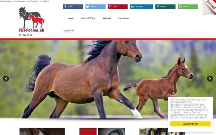 Screenshot of katzenfutter-shop.ch
