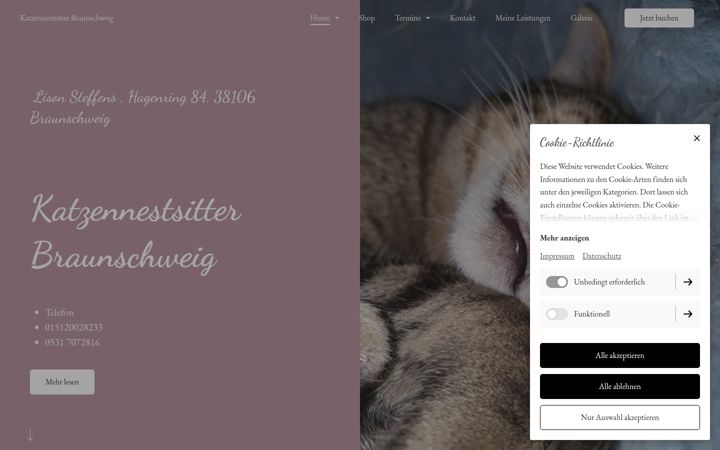 Screenshot of katzennestsitter.com